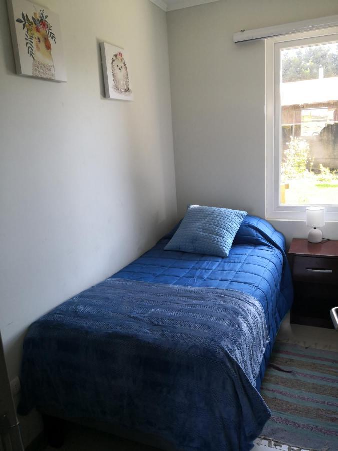 Departamento Nativo Pucon